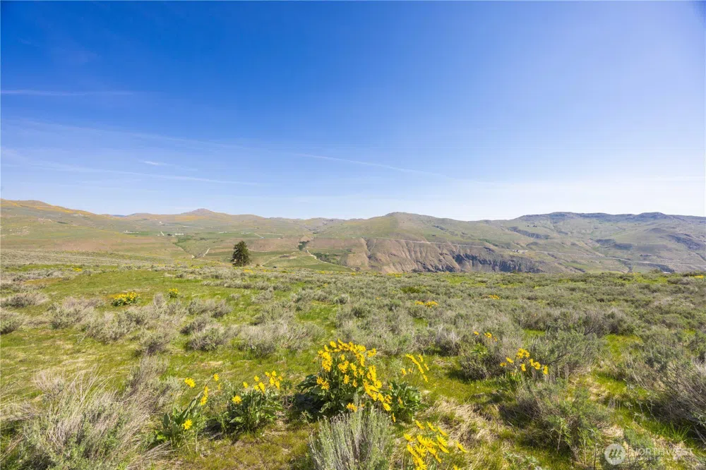 0 Goat Ridge Lot 7 - Hwy 153 #7 Pateros, WA 98846