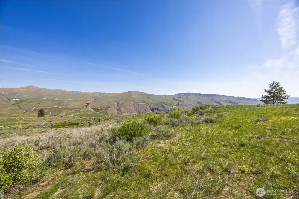 0 Goat Ridge Lot 7 - Hwy 153 #7 Pateros, WA 98846