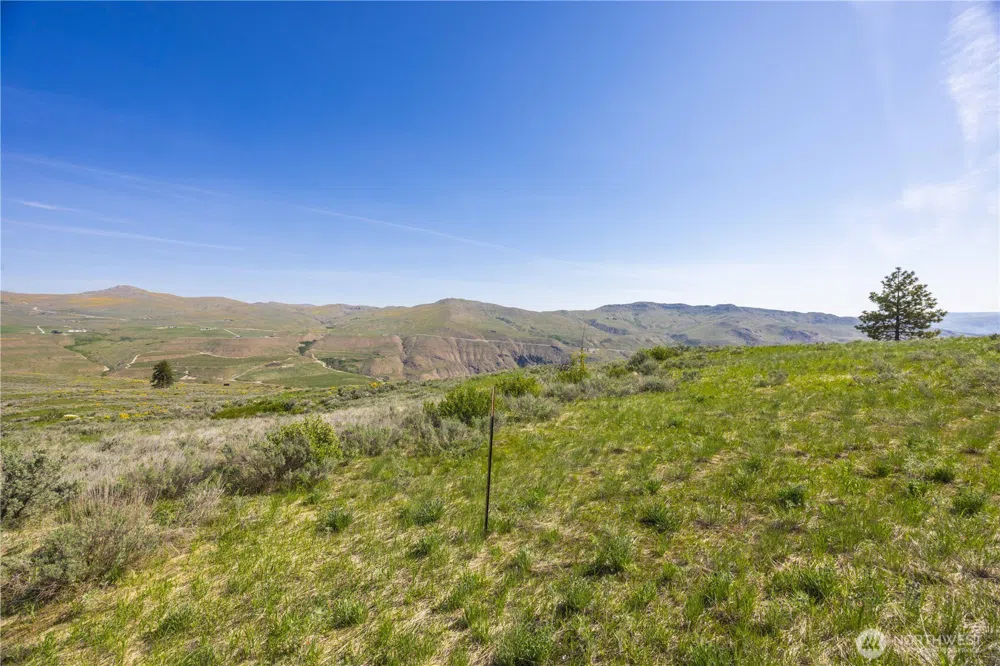 0 Goat Ridge Lot 7 - Hwy 153 #7 Pateros, WA 98846