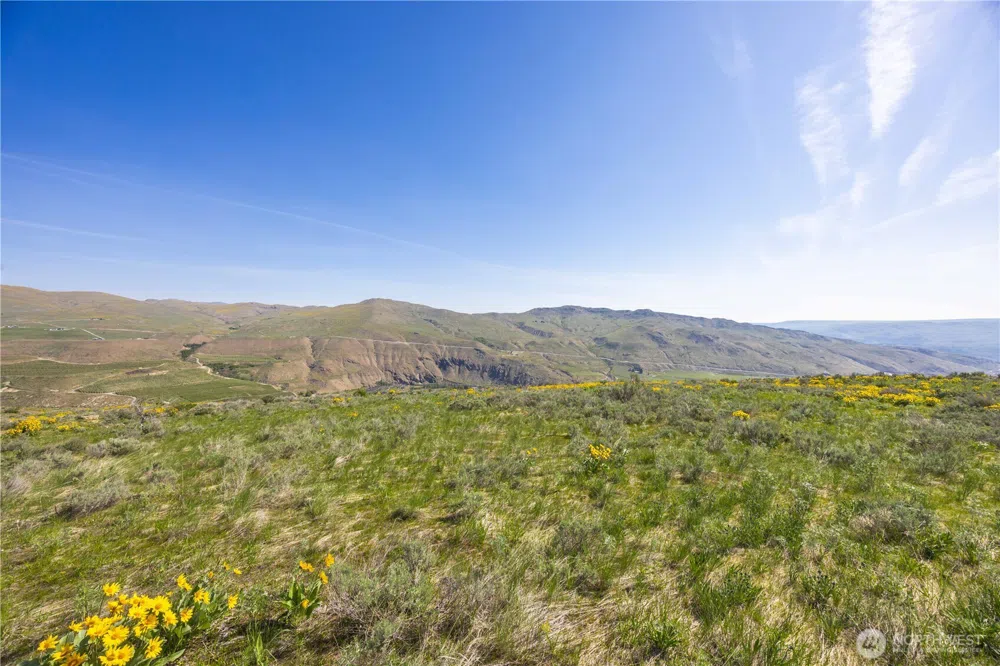 0 Goat Ridge Lot 7 - Hwy 153 #7 Pateros, WA 98846