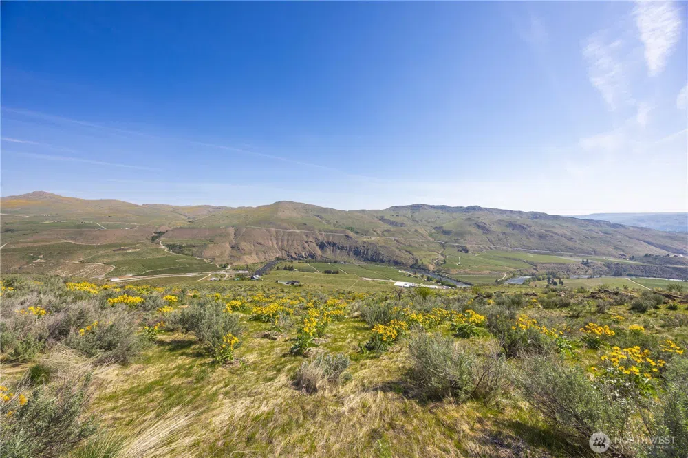 0 Goat Ridge Lot 7 - Hwy 153 #7 Pateros, WA 98846