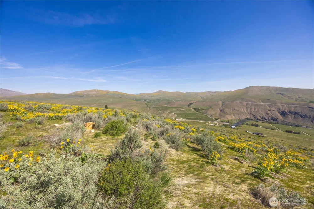 0 Goat Ridge Lot 7 - Hwy 153 #7 Pateros, WA 98846