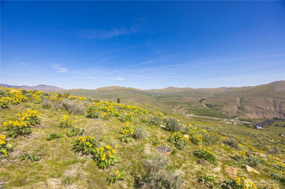 0 Goat Ridge Lot 7 - Hwy 153 #7 Pateros, WA 98846