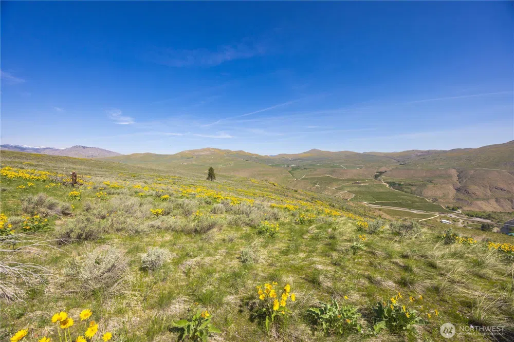 0 Goat Ridge Lot 7 - Hwy 153 #7 Pateros, WA 98846