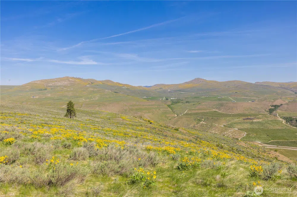 0 Goat Ridge Lot 7 - Hwy 153 #7 Pateros, WA 98846