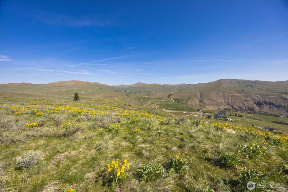0 Goat Ridge Lot 7 - Hwy 153 #7 Pateros, WA 98846