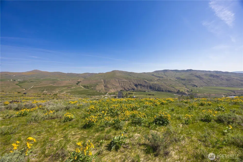 0 Goat Ridge Lot 7 - Hwy 153 #7 Pateros, WA 98846