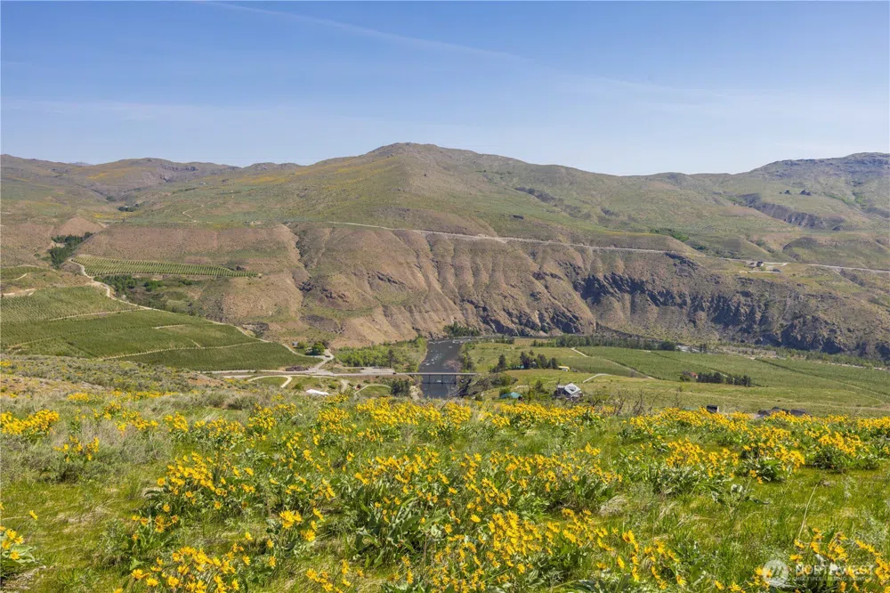0 Goat Ridge Lot 7 - Hwy 153 #7 Pateros, WA 98846