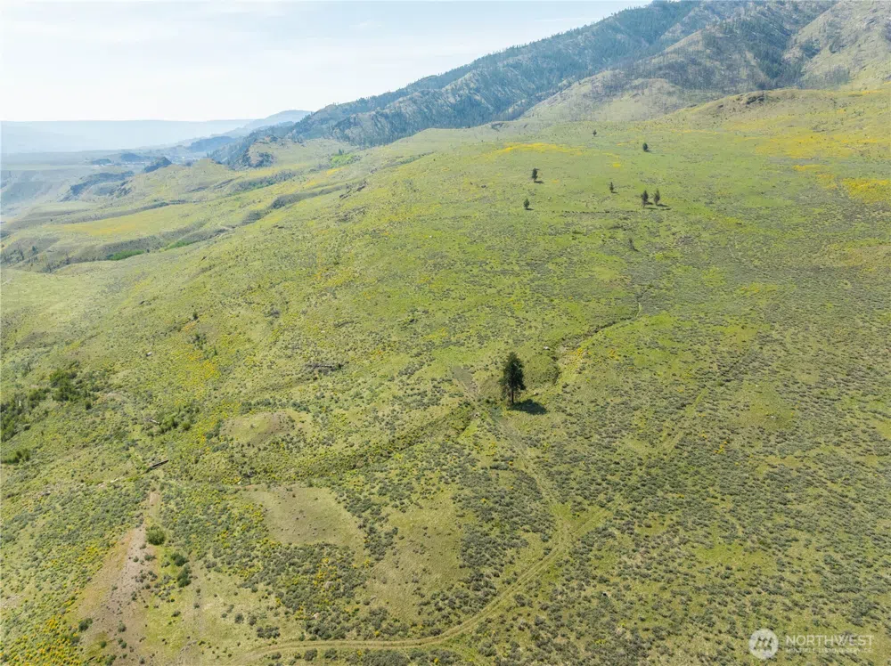 0 Goat Ridge Lot 7 - Hwy 153 #7 Pateros, WA 98846