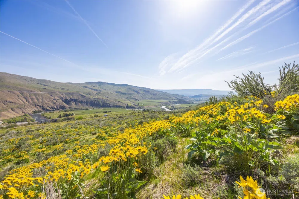 0 Goat Ridge Lot 5 - Hwy 153 #5 Pateros, WA 98846