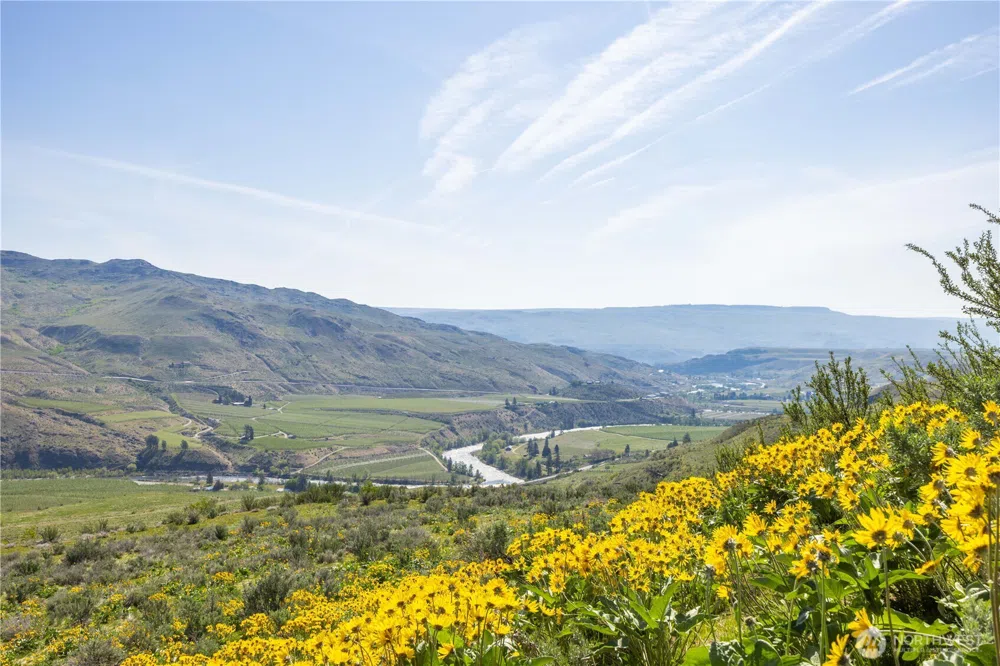 0 Goat Ridge Lot 5 - Hwy 153 #5 Pateros, WA 98846