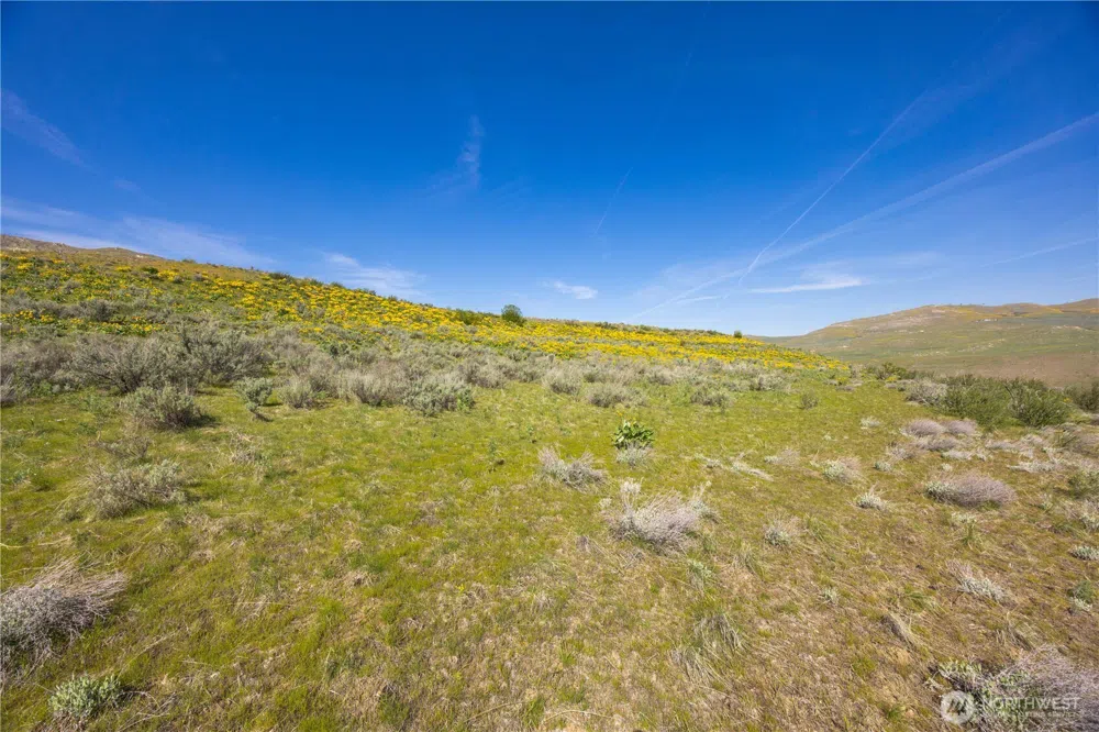 0 Goat Ridge Lot 5 - Hwy 153 #5 Pateros, WA 98846