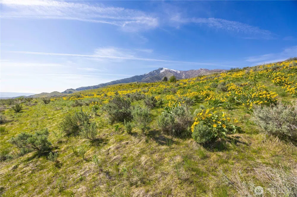 0 Goat Ridge Lot 5 - Hwy 153 #5 Pateros, WA 98846