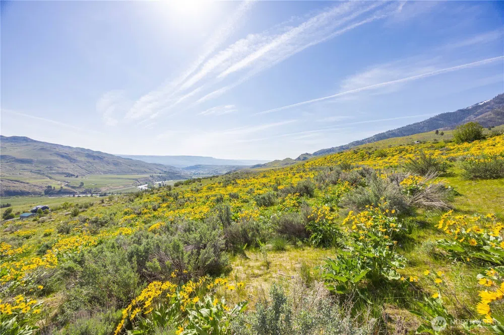 0 Goat Ridge Lot 5 - Hwy 153 #5 Pateros, WA 98846