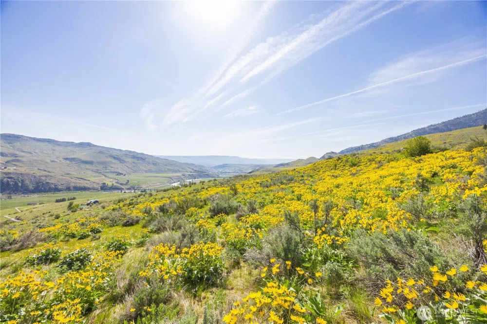 0 Goat Ridge Lot 5 - Hwy 153 #5 Pateros, WA 98846