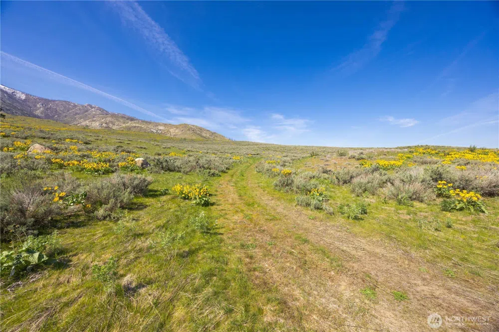 0 Goat Ridge Lot 5 - Hwy 153 #5 Pateros, WA 98846