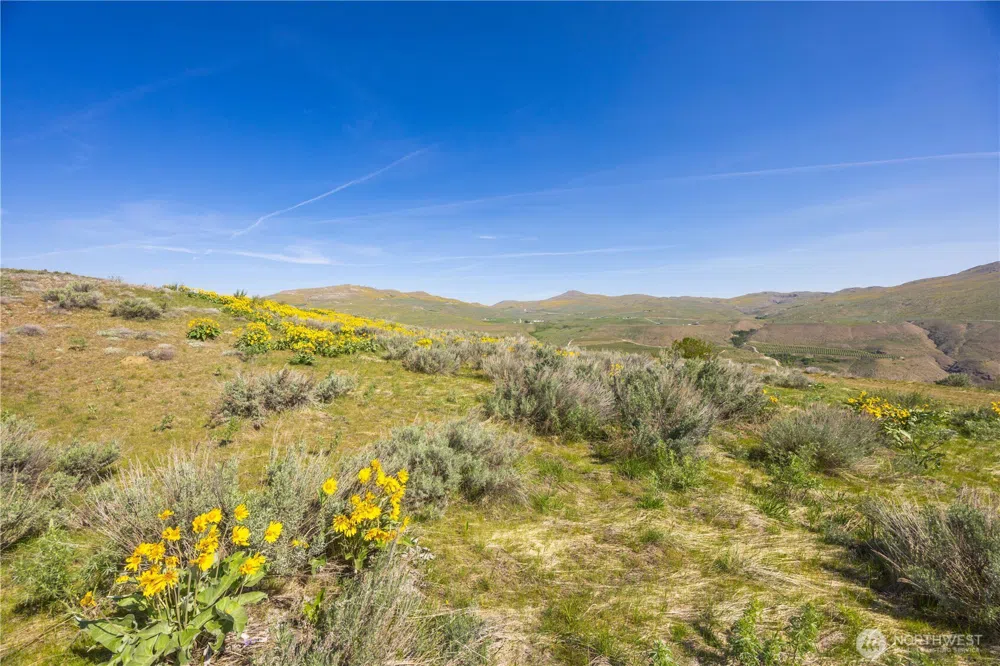 0 Goat Ridge Lot 5 - Hwy 153 #5 Pateros, WA 98846