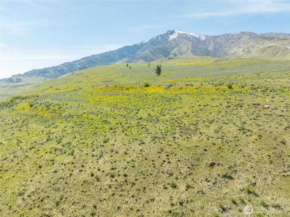 0 Goat Ridge Lot 5 - Hwy 153 #5 Pateros, WA 98846