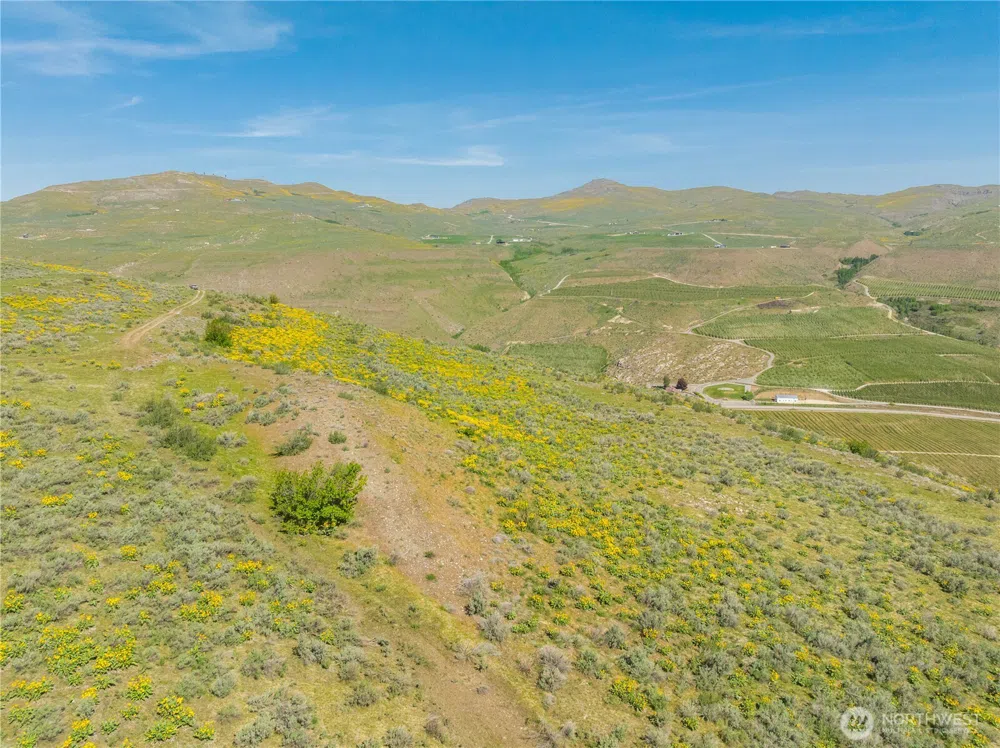 0 Goat Ridge Lot 5 - Hwy 153 #5 Pateros, WA 98846
