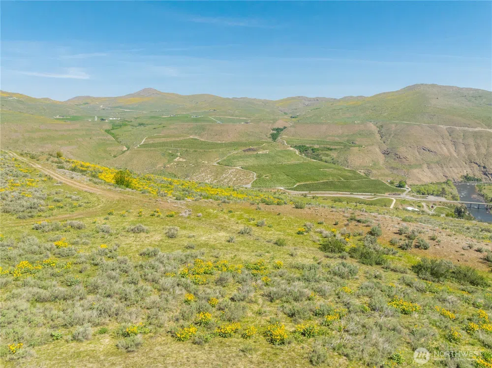 0 Goat Ridge Lot 5 - Hwy 153 #5 Pateros, WA 98846