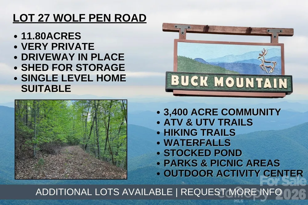 TBD Wolf Pen Road #27 Purlear, NC 28665