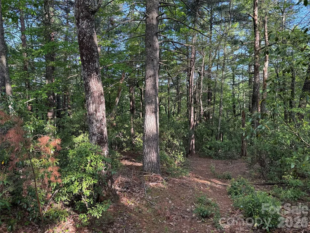 TBD Wolf Pen Road #27 Purlear, NC 28665