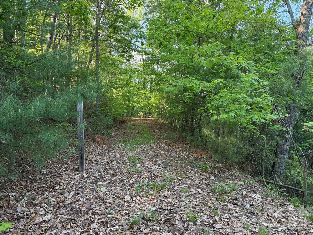 TBD Wolf Pen Road #27 Purlear, NC 28665