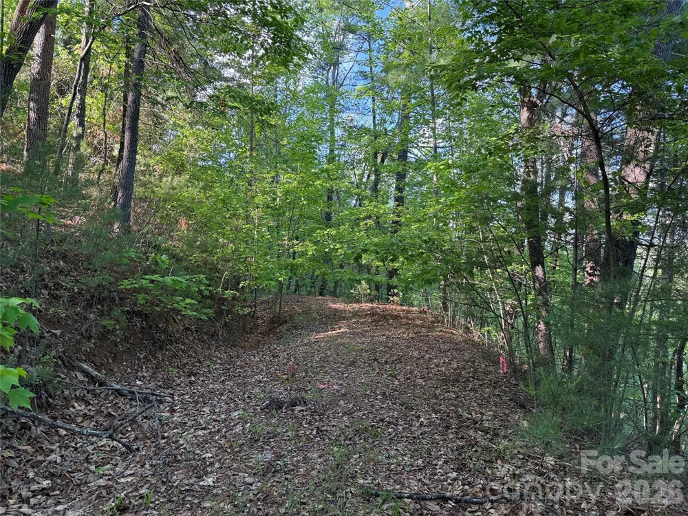 TBD Wolf Pen Road #27 Purlear, NC 28665