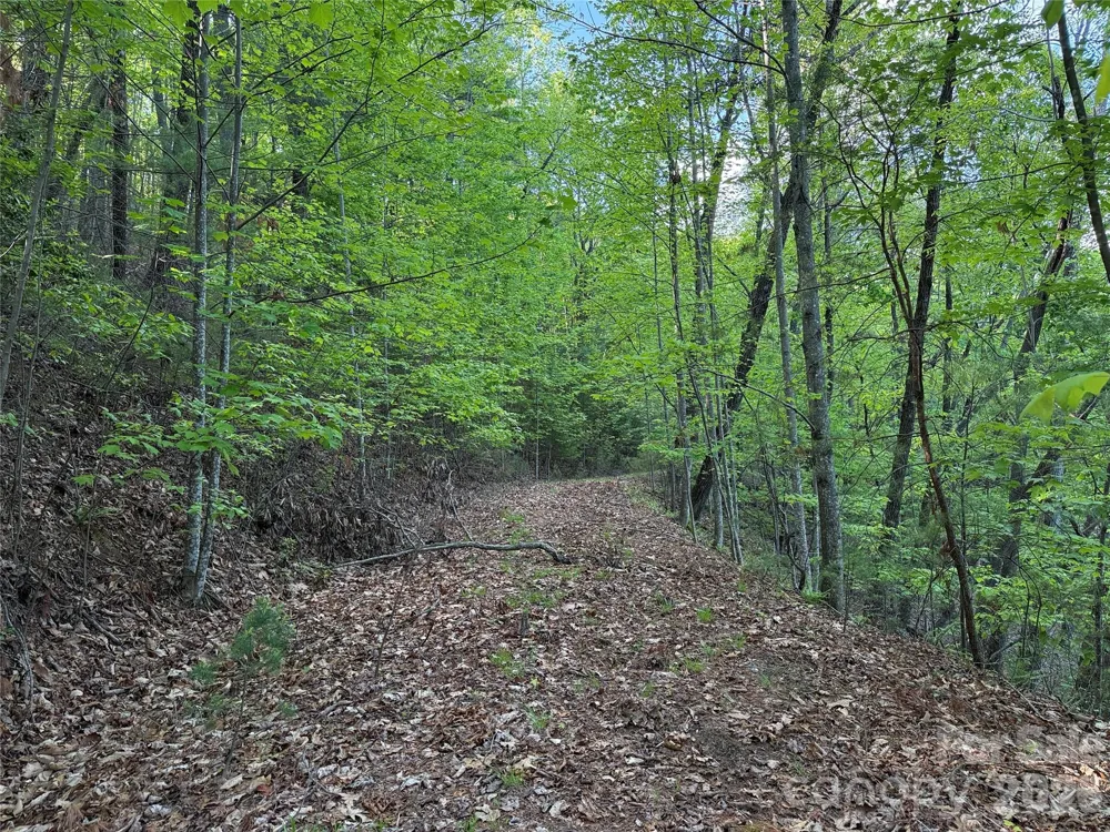 TBD Wolf Pen Road #27 Purlear, NC 28665