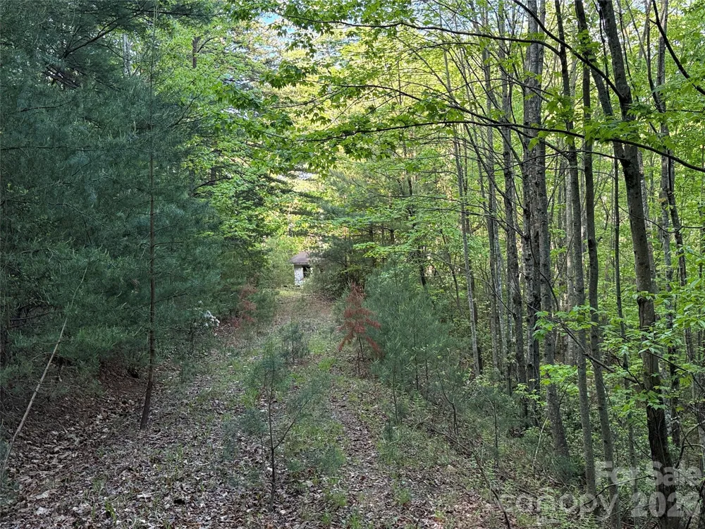 TBD Wolf Pen Road #27 Purlear, NC 28665