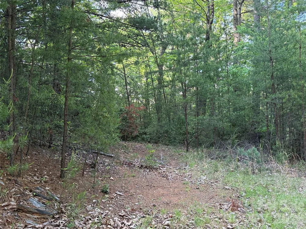 TBD Wolf Pen Road #27 Purlear, NC 28665