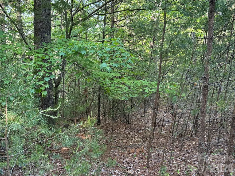 TBD Wolf Pen Road #27 Purlear, NC 28665