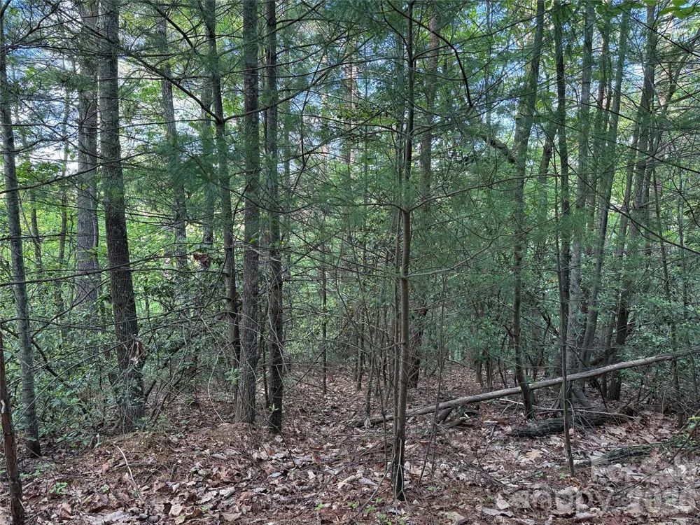 TBD Wolf Pen Road #27 Purlear, NC 28665