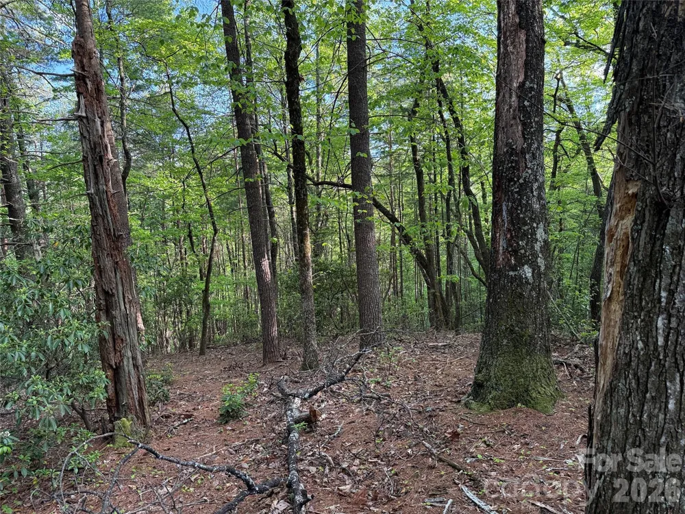 TBD Wolf Pen Road #27 Purlear, NC 28665