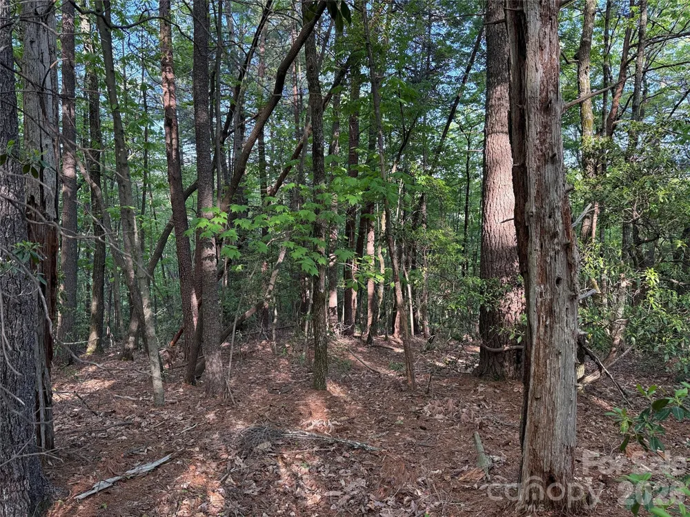 TBD Wolf Pen Road #27 Purlear, NC 28665