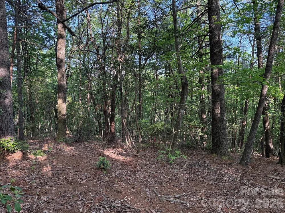 TBD Wolf Pen Road #27 Purlear, NC 28665