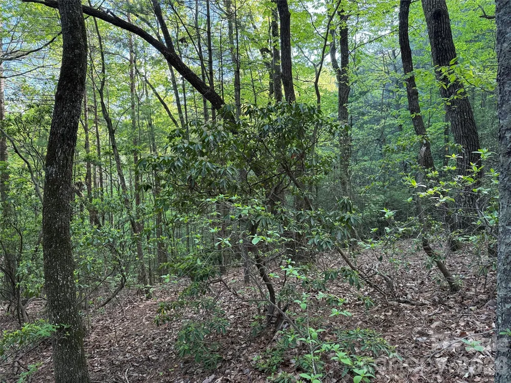 TBD Wolf Pen Road #27 Purlear, NC 28665