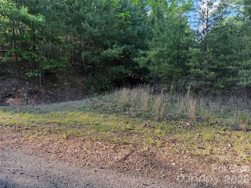 TBD Wolf Pen Road #27 Purlear, NC 28665