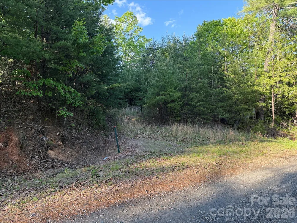 TBD Wolf Pen Road #27 Purlear, NC 28665