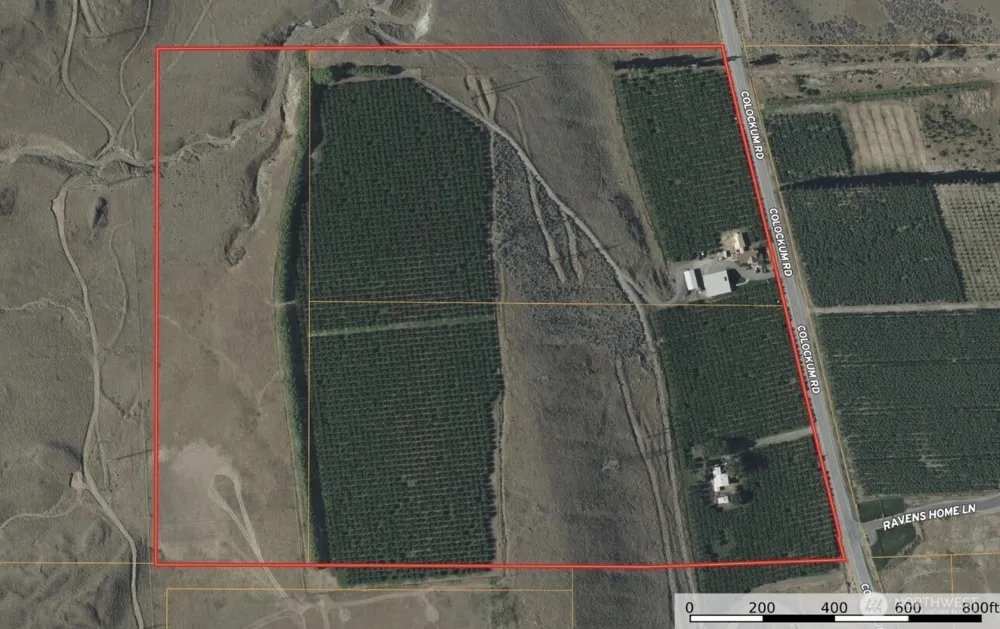 5814 Colockum Road Malaga, WA 98828