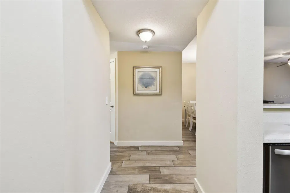 1231 GODAVARI WAY #103 Wesley Chapel, FL 33543