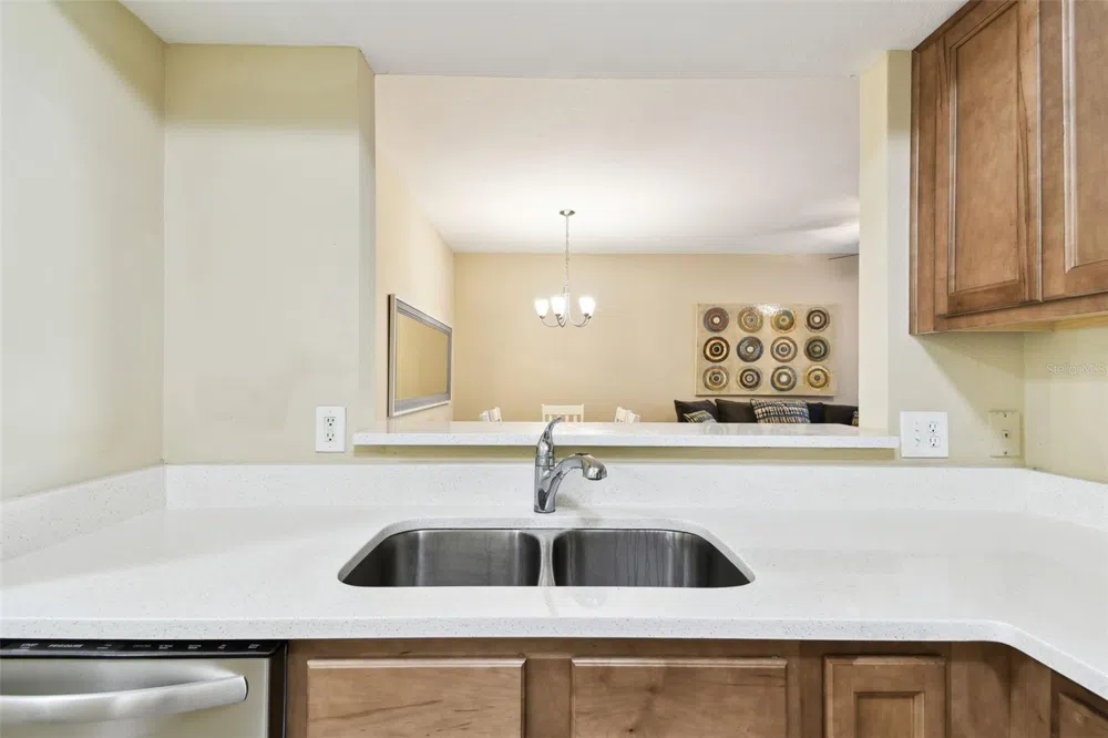 1231 GODAVARI WAY #103 Wesley Chapel, FL 33543
