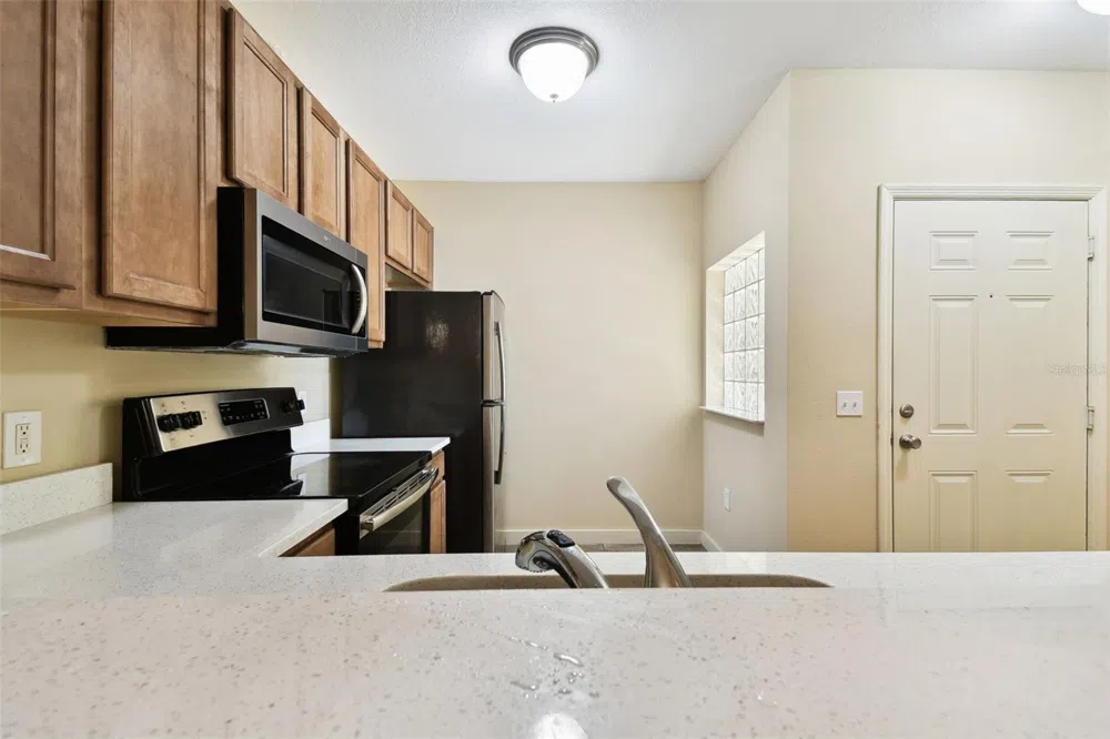 1231 GODAVARI WAY #103 Wesley Chapel, FL 33543
