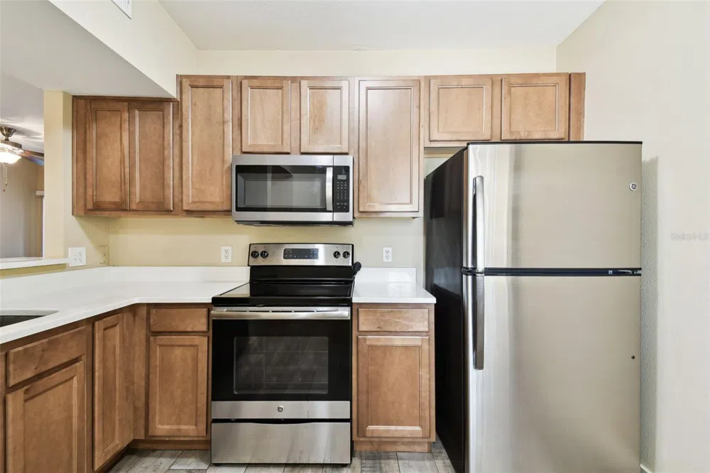 1231 GODAVARI WAY #103 Wesley Chapel, FL 33543