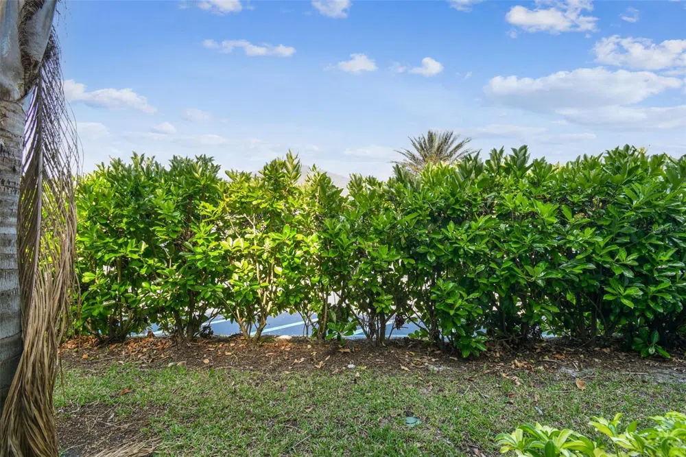 1231 GODAVARI WAY #103 Wesley Chapel, FL 33543
