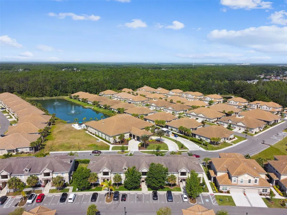 1231 GODAVARI WAY #103 Wesley Chapel, FL 33543