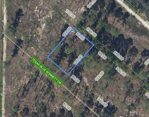6139 TEXAS BLUE BONNETT DRIVE