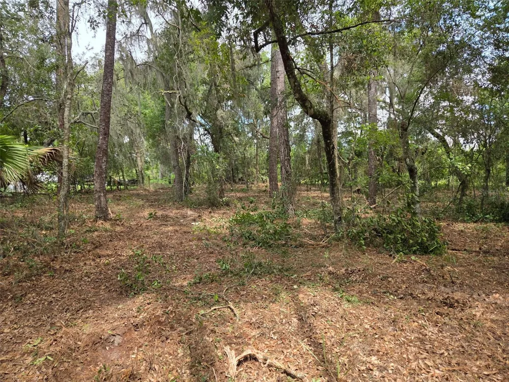 8903 SE 225TH DRIVE Hawthorne, FL 32640