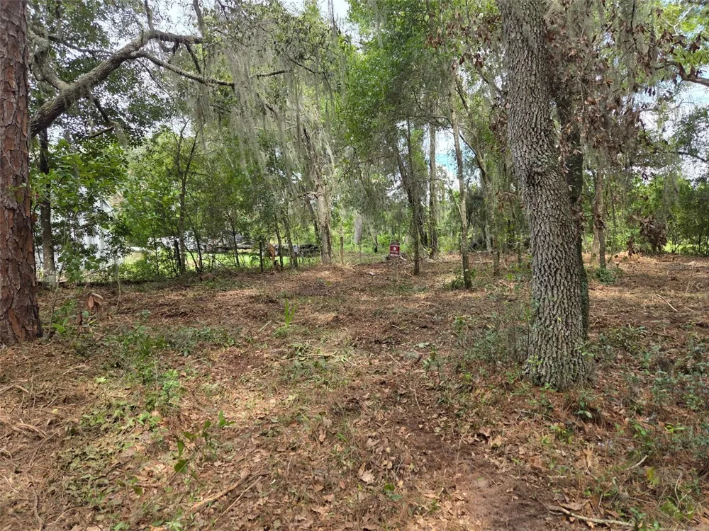 8903 SE 225TH DRIVE Hawthorne, FL 32640