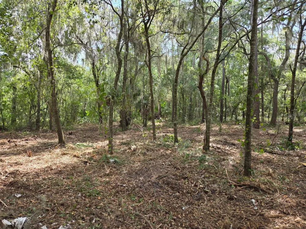 8903 SE 225TH DRIVE Hawthorne, FL 32640